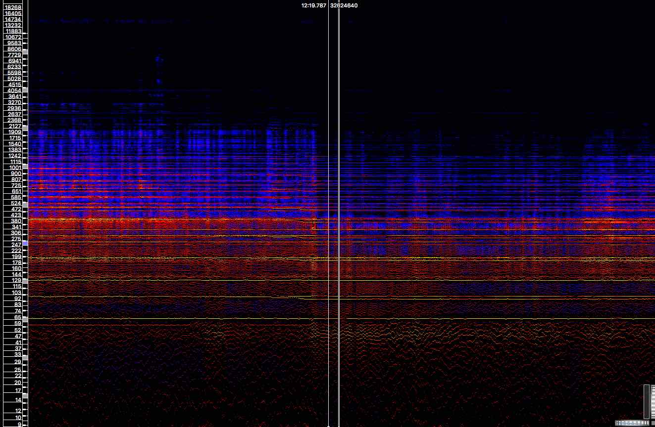 Espectrograma Reafinación
