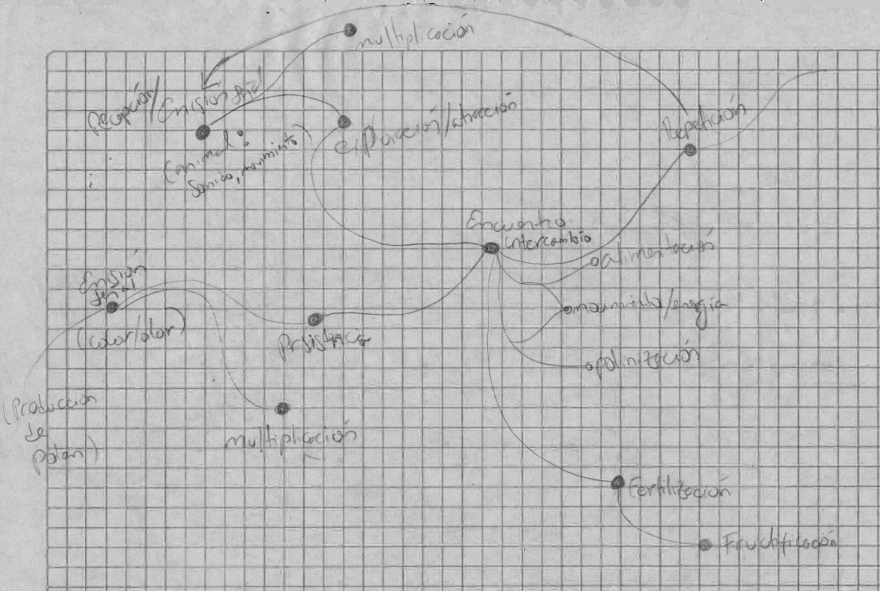 grafo de polinzadores